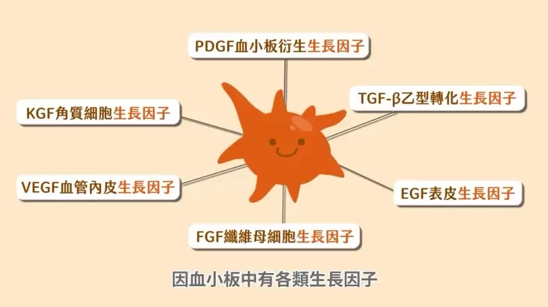 帶你用2分鐘認識PLT凍晶